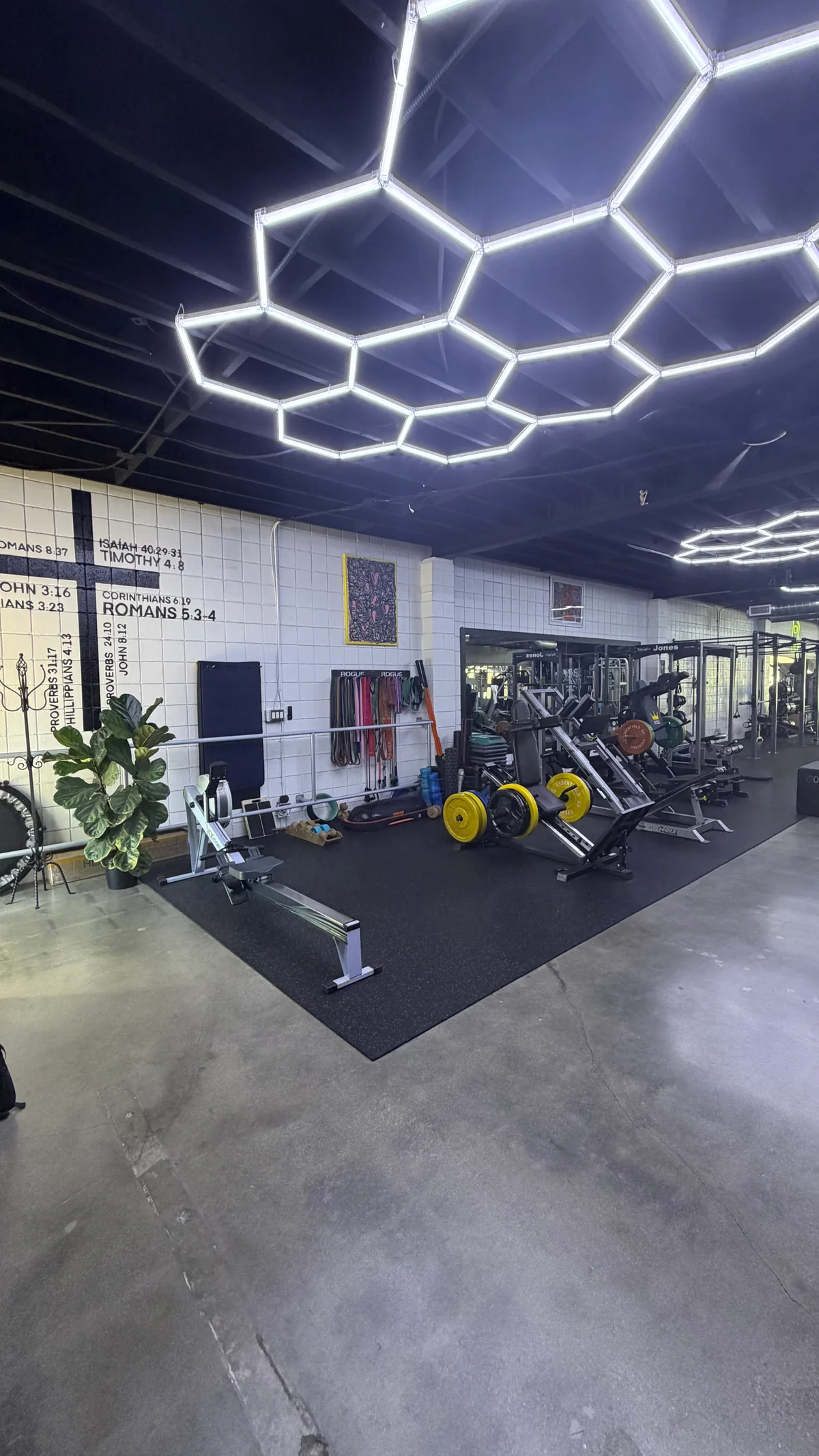Rowing machine, wall-mounted resistance bands and plate-loaded strength equipment in BASIC Training's functional zone